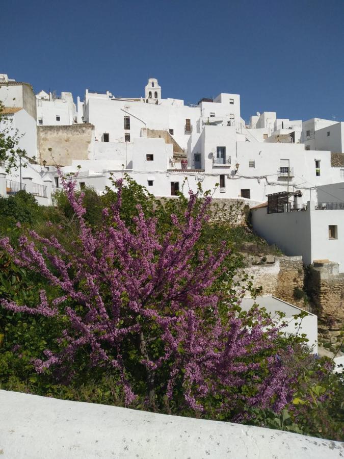 Micasa Im Zentrum Von Vejer Vejer de la Frontera Bagian luar foto